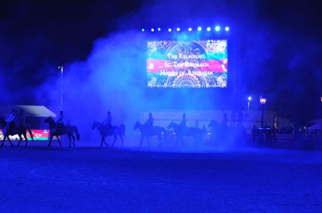 Qarabağ atları Vindzor Kral Atçılıq Şousunda nümayiş olunub (FOTO)