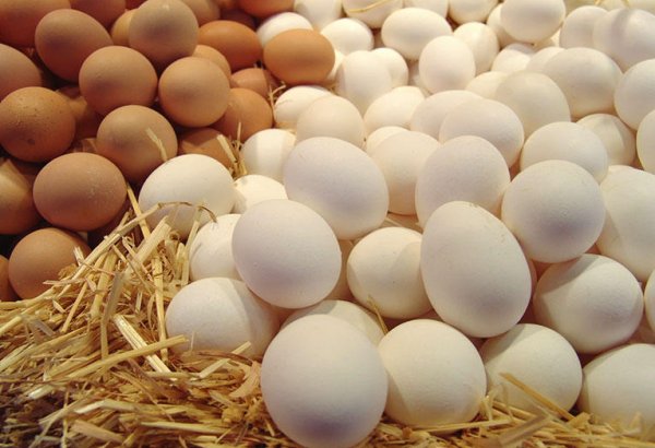 Приведет ли экспорт яиц в Россию к росту цен на них в Азербайджане?