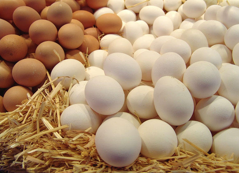 Azərbaycan Rusiyaya 3,6 milyon toyuq yumurtası tədarük edib
