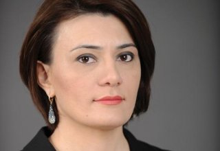 Депутат: Стремление Армении поставить под сомнение, считать несправедливым заявление 120 государств не что иное, как плод больного воображения