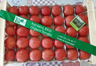 Органические продукты выращиваются в Агстафе (ФОТО/ВИДЕО)