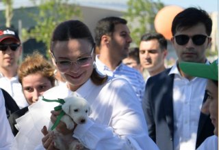 Депутат Ганира Пашаева обзавелась питомцем  в Центре заботы о бездомных собаках "Топлан"