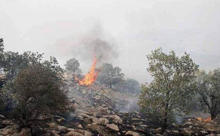 Минэкологии об угрозе пожаров в лесах Азербайджана