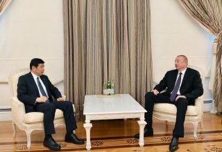 President Ilham Aliyev receives secretary general of World Customs Organization