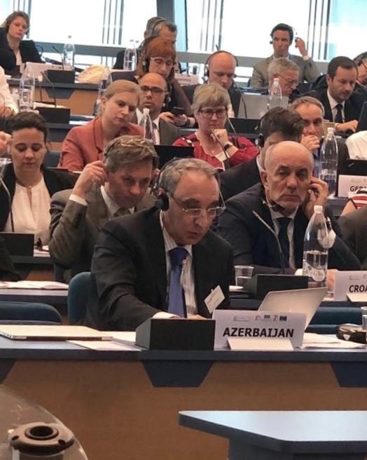 Report on judicial reforms in Azerbaijan presented at conference in Strasbourg (PHOTO)