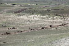 Проведены учения ракетно-артиллерийских подразделений азербайджанской армии (ФОТО/ВИДЕО)