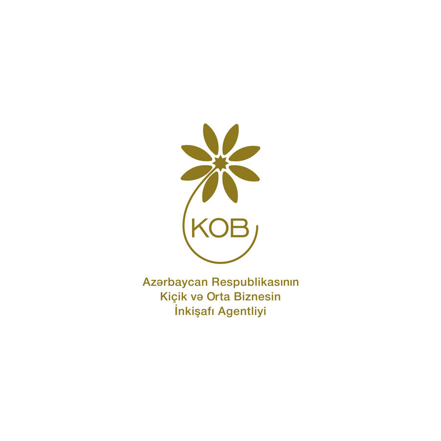 Azerbaijani SME agency ready to fully support alternative energy dev't