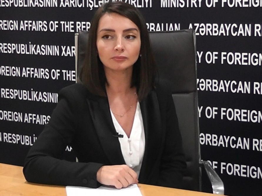 Leyla Abdullayeva: Azərbaycan üçün ən önəmlisi maraqlarımızın tam şəkildə əks olunduğu sazişin əldə olunmasıdır (VİDEO)