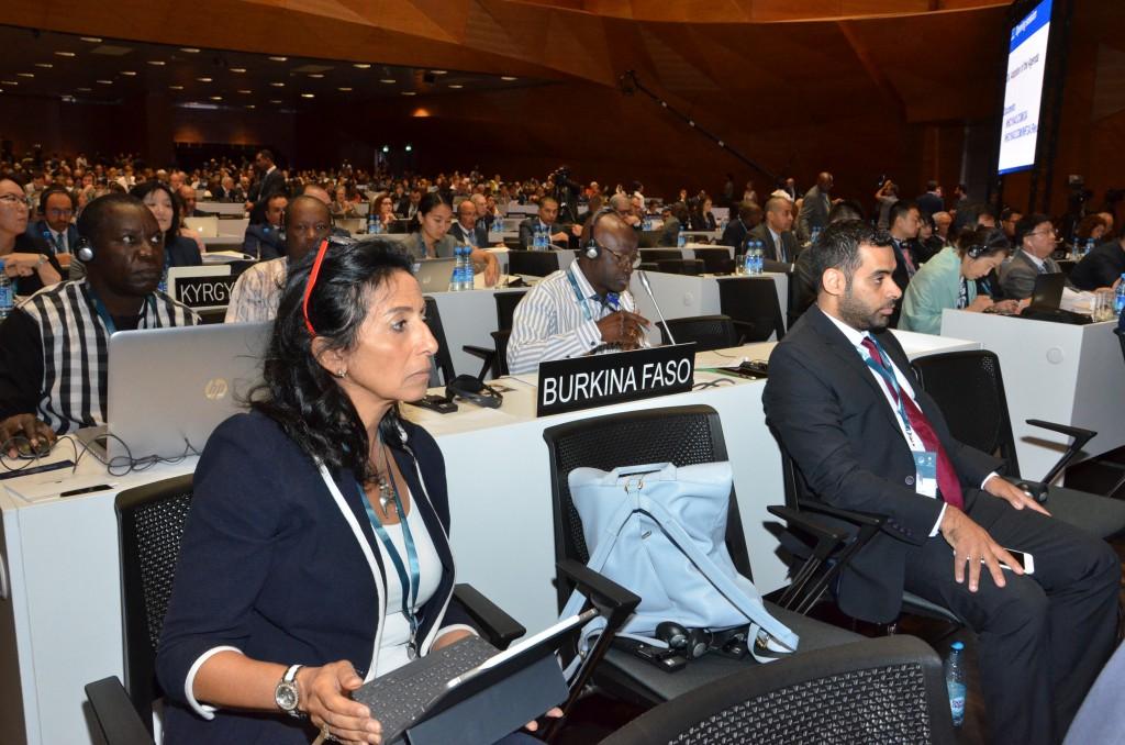 Dünya İrs Komitəsinin 43-cü sessiyası çərçivəsində ilk plenar iclas keçirildi (FOTO)