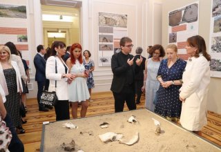 Археологии Азербайджана и Франции представили редкие артефакты мировой значимости  (ФОТО)