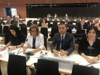 На заседании ПА ОБСЕ принята поправка, предложенная азербайджанской делегацией(ФОТО)