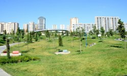 Еще один облик Баку - Центральный парк(ФОТО)