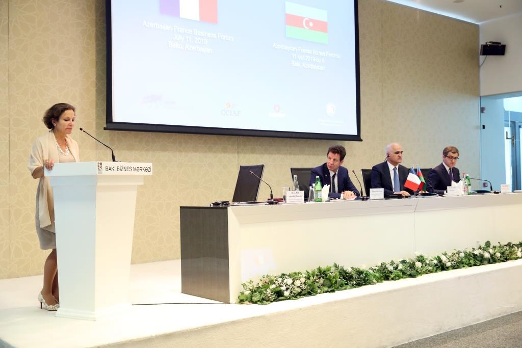 Шахин Мустафаев: Ненефтяной сектор  - важное направление сотрудничества с Францией (ФОТО)