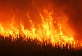 Пожар в Огузском районе потушен (Обновлено)