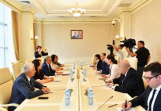 Грузинские парламентарии: Грузия и Азербайджан способны решать любые вопросы в обстановке дружбы и сотрудничества