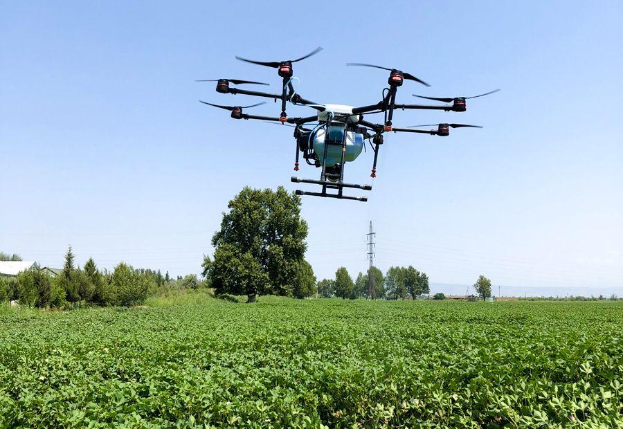 Drone used for spraying pesticides on cotton field in Azerbaijan for first time (PHOTO)