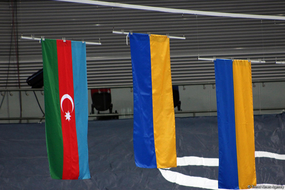 Azərbaycan gimnastı EYOF-un gümüş medalını qazandı (FOTO)