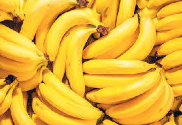 Kyrgyzstan's imports of bananas from Ecuador decline