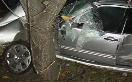 Cəlilabadda avtomobili ağaca çırpan sürücü yerindəcə öldü
