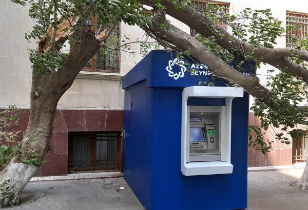 Сильный ветер в Баку повалил дерево на банкомат (ФOTO)