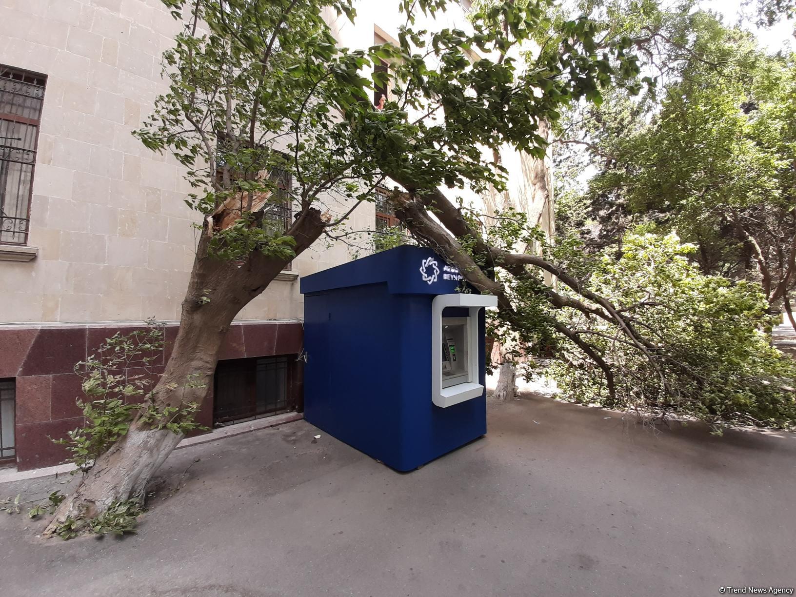 Сильный ветер в Баку повалил дерево на банкомат (ФOTO)