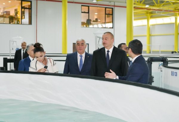 President Aliyev, first lady Mehriban Aliyeva familiarized themselves with production process at NaraMIZ fish farm in Pirallahi district (PHOTO)