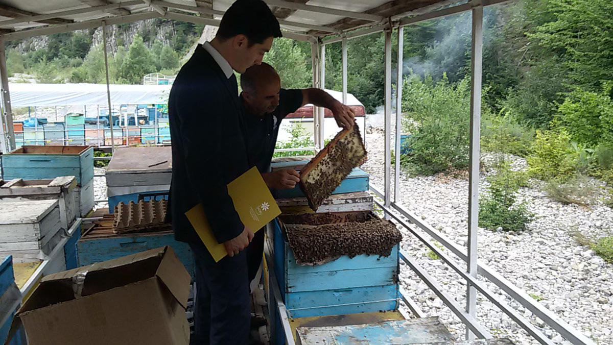 Azerbaijan’s SME Development Agency supports entrepreneurs dealing with beekeeping (PHOTO)