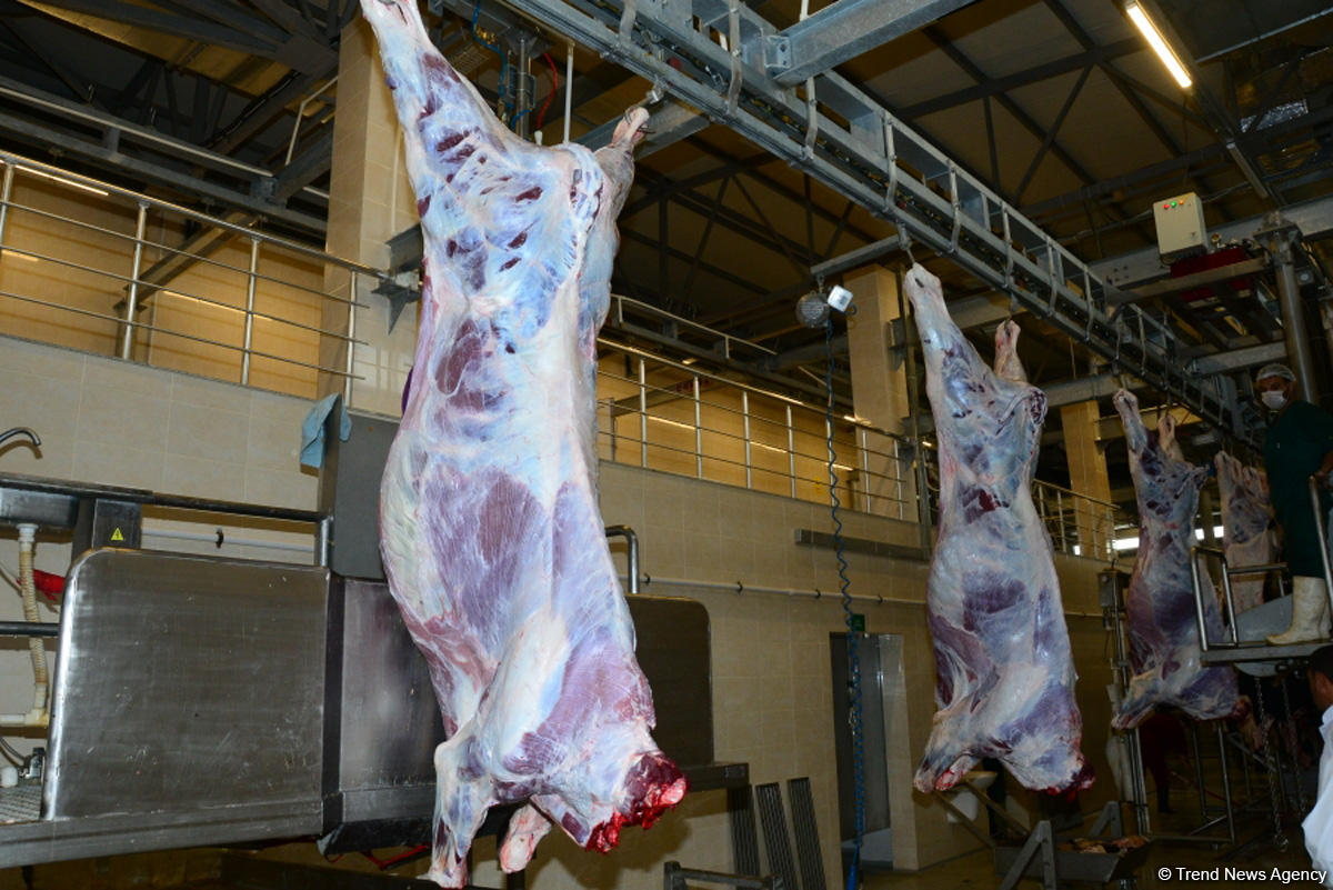 В Азербайджане санитарная экспертиза жертвенного мяса будет проводиться бесплатно (ФОТО)