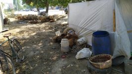 В Азербайджане продолжаются меры по пресечению незаконного забоя скота (ФОТО) - Gallery Thumbnail