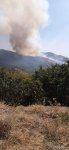 Министерство: Пожар на границе Губы и Шабрани не затронул территорию лесного фонда (ФОТО)