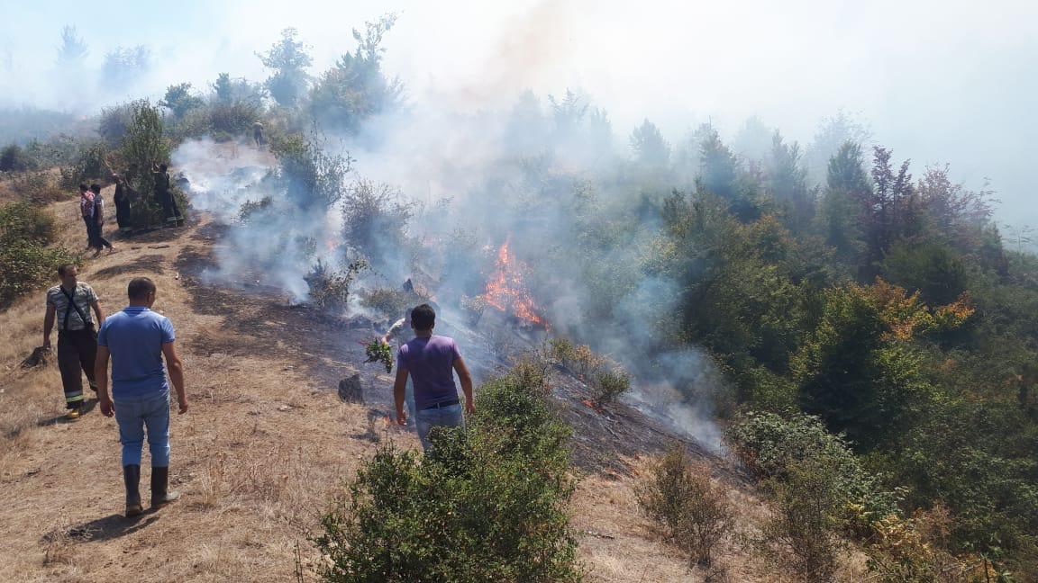 В одном из национальных парков Азербайджана произошел пожар (ФОТО)
