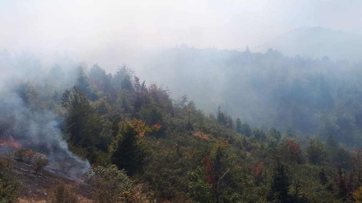 Потушен пожар на заминированной территории в Ходжавендском районе (ВИДЕО)