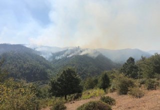 Предотвращено распространение пожара в Гирканском национальном парке на близлежащие территории (ФОТО)