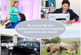 В Азербайджане с начала года к программе самозанятости привлечено до 750 вынужденных переселенцев
