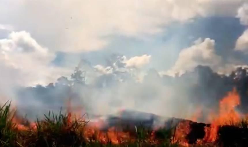 Германия предложила Бразилии помощь в борьбе с пожарами в Амазонии