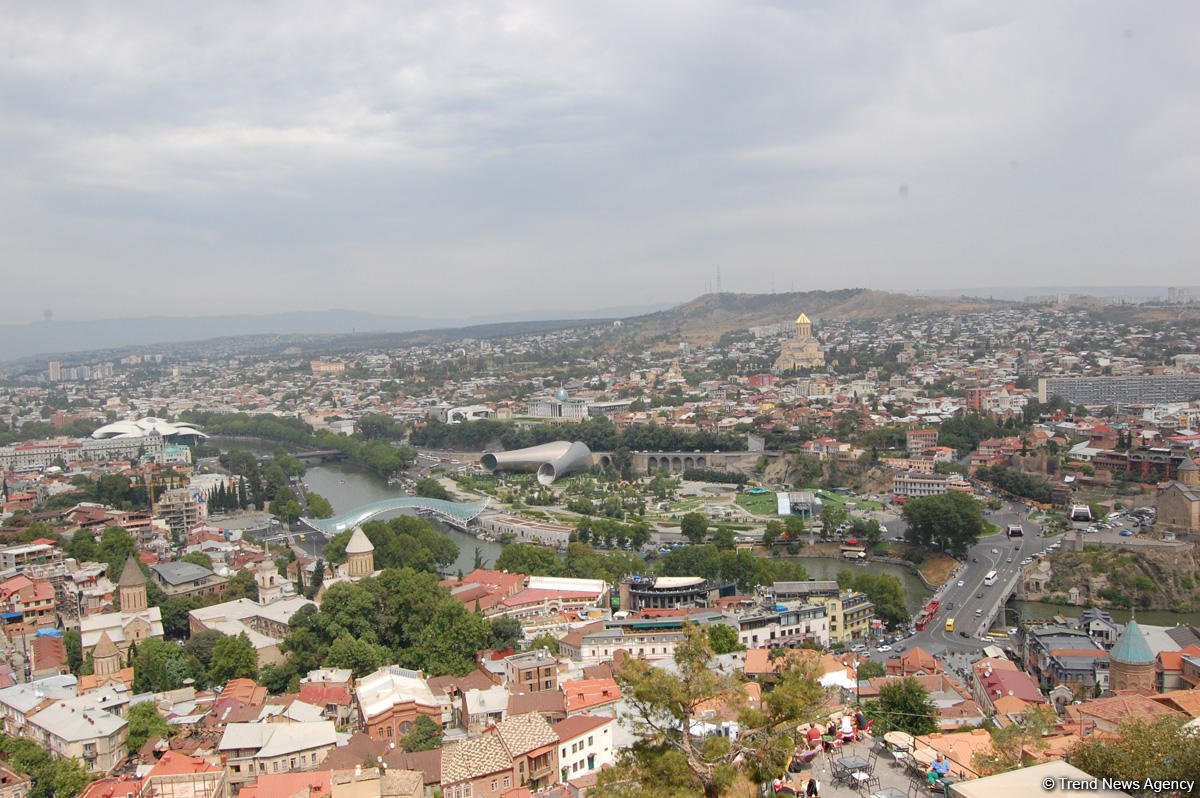 В Грузии создано свыше 700 компаний с азербайджанским капиталом