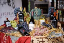 Лучшие кадры с I Азербайджанского фестиваля винограда и вина в Шамахы (ФОТО)