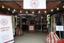 При поддержке Фонда Гейдара Алиева продолжается Азербайджанский фестиваль винограда и вина (ВИДЕО)