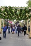 First Grape and Wine Festival opens in Azerbaijan’s Shamakhi district (PHOTO)
