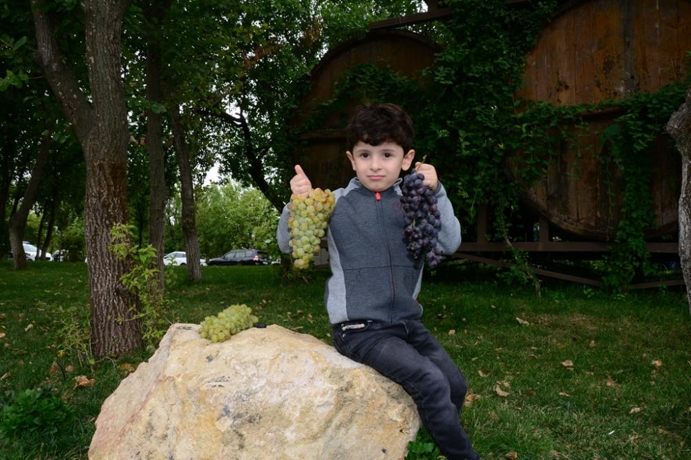 В Шамахы состоялось грандиозное открытие первого Азербайджанского фестиваля винограда и вина (ФОТО)
