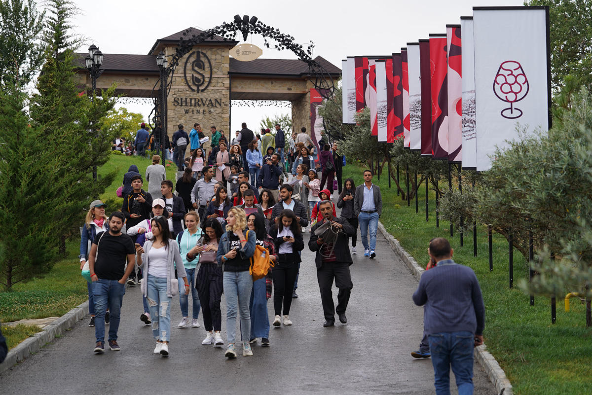 Şamaxı çariçası, hava şarı, əfsanəvi şou - I Azərbaycan Üzüm və Şərab Festivalı (VİDEO/FOTO)