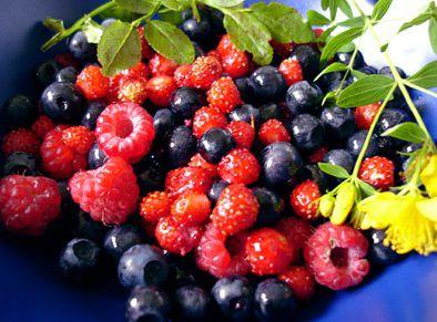 Russia's Rosselkhoznadzor shares data on fresh berries imports from Kyrgystan to Murmansk region