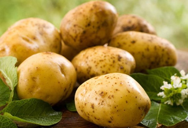 Kyrgyzstan's exports of potatoes drop in 9M2023
