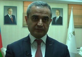 Faiq Abbasov: Kiçik və orta biznes sektorunda müsbət dəyişikliklər müşahidə edilməkdədir (VİDEO)