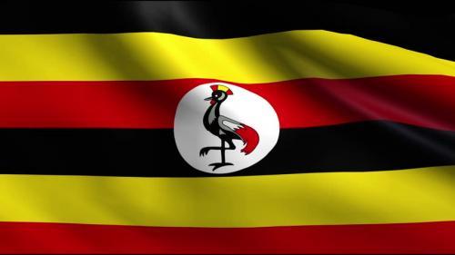 3 killed, 18 injured in road accident in Uganda