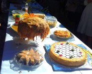 В Гахе прошел Фестиваль меда. Экология на страже здоровья семьи (ФОТО)