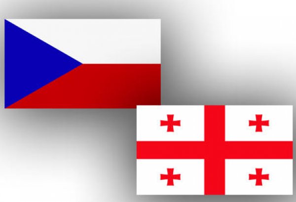 Czech Republic considers Georgia as important partner