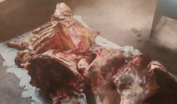 В Гяндже выявлено около 300 кг непригодной в пищу говядины (ФОТО) (версия 2)