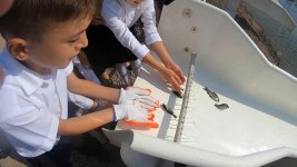 В реку Кура в Товузском районе Азербайджана выпущено несколько тысяч рыбьей молоди (ФОТО)