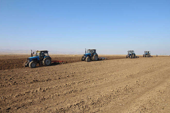 В Карагандинской области Казахстана весенние полевые работы идут по графику